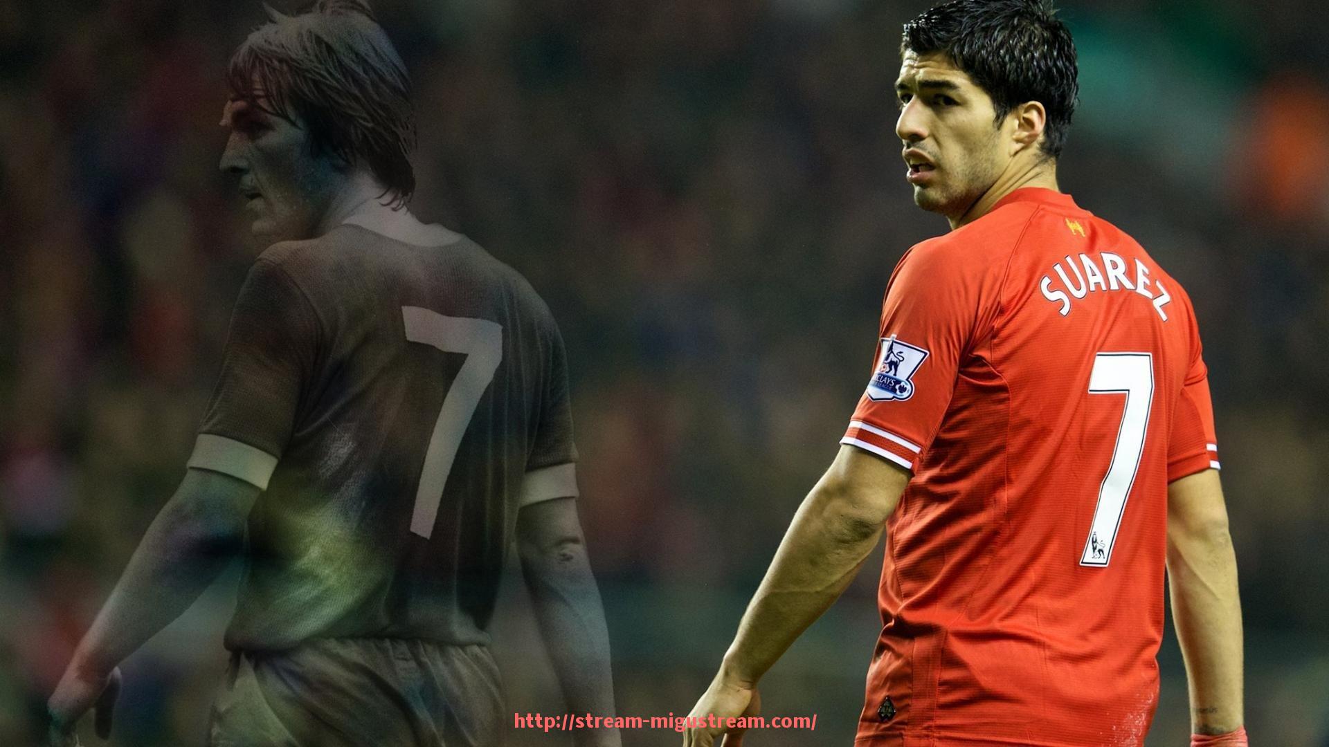 咪咕体育直播-会动的智能健身器材带来哪些运动新体验?